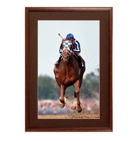 12 x 36 Wood Picture Poster Display Frames with Matboard (Wood 353)