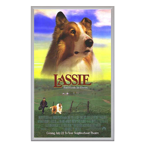 SNAP OPEN POSTER GRIP FRAMES 12x18 (SHOWN in SILVER)