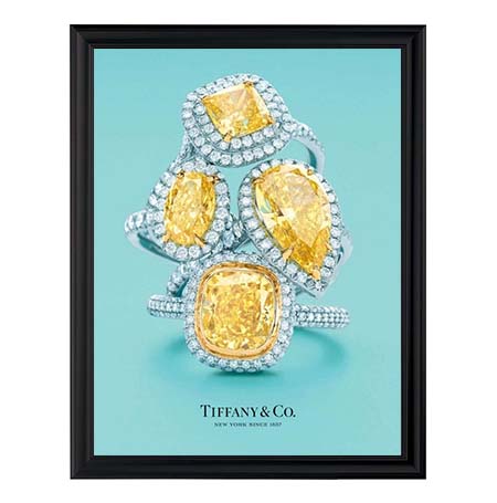 Modern Style 22x28 Snap Frame Poster Sign Holder | Quick Change Black Metal Picture Frame Finish