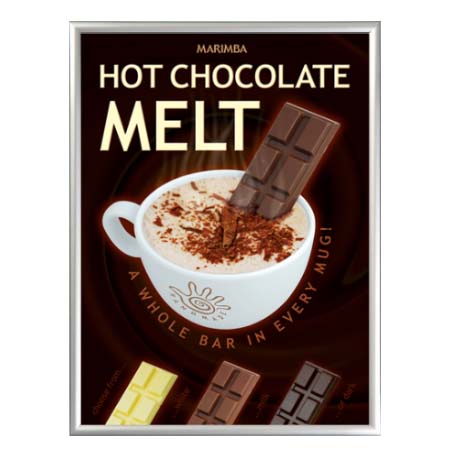 30x40 Euro Security Snap Frame Poster Sign Holder | Silver Metal Frame Finish with Frame Lever Tool