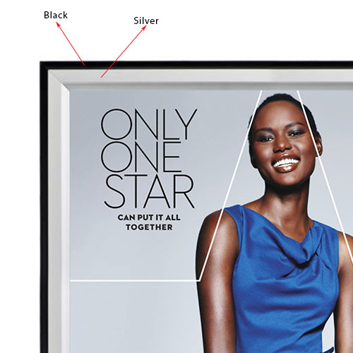 2 Colored Snap Frame 22x28  Comes in BLACK Exterior Trim with SILVER Interior Frame Finish | Perfect Neutral Colors for Interior Decor