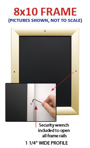 8 x 10 Poster Snap Frame SwingSnaps (with Security Screws)