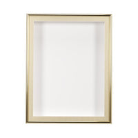 SwingFrame Designer 1-inch Deep Shadow Box Display Case with Metal Frame 10+ Sizes