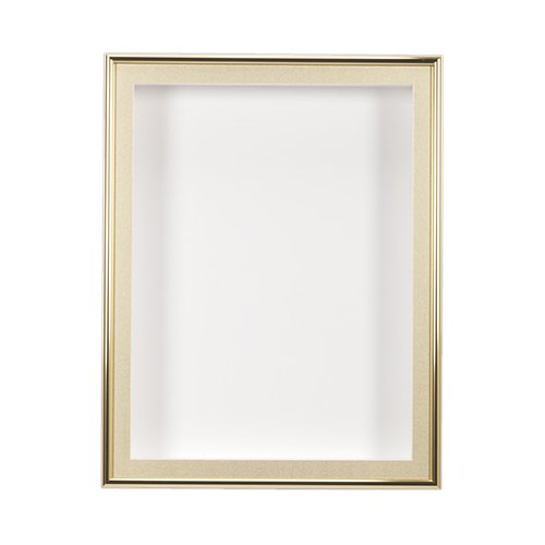 SwingFrame Designer 1-inch Deep Shadow Box Display Case with Metal Frame 10+ Sizes