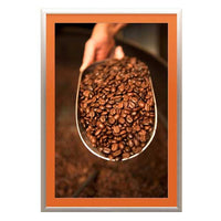 SwingSnaps Designer Poster Snap Frames | 2" Wide Matboard