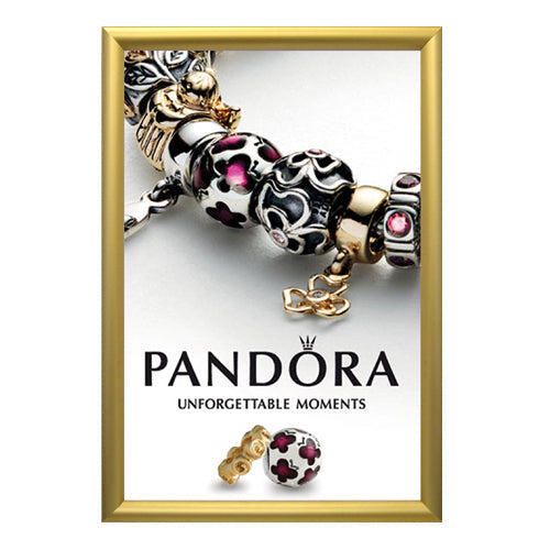 EXTRA DEEP 16 x 20 SECURITY SNAP FRAME in 1 3/4" WIDE FRAME (SHOWN in GOLD FRAME)