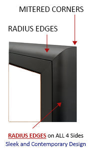 Extra Large Outdoor Dry Erase Marker Board with Radius Edge Swing Cases (White Board)