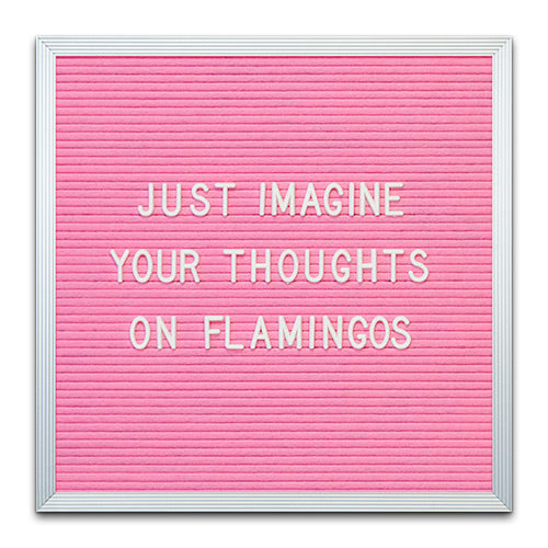 PINK FELT LETTER BOARD