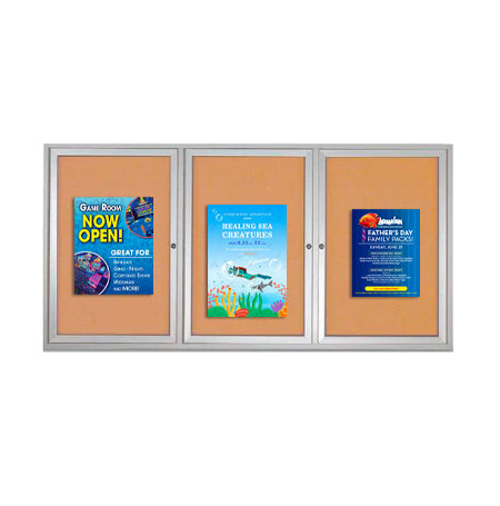 Enclosed Indoor Bulletin Boards 72 x 24 with Interior Lighting and Radius Edge (3 DOORS)