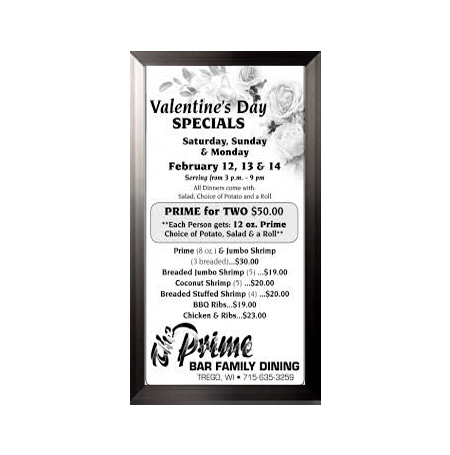 12x24 Poster Frame (SwingFrame Carbon Steel Poster Display)