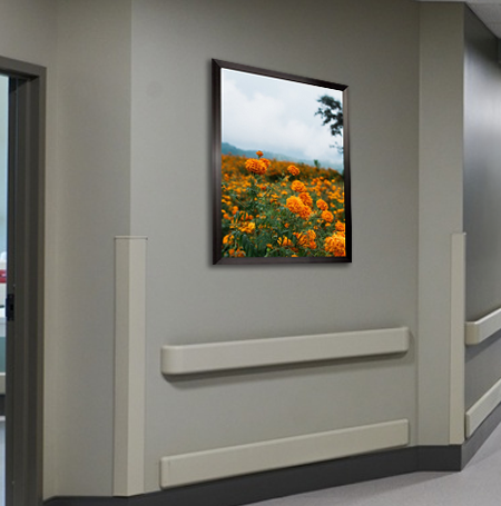 27x40 Poster Frame (SwingFrame Carbon Steel Poster Display)