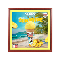 Wood 353 Poster Display SwingFrames 24x24 with Matboard