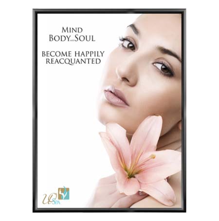 Economical 40x60 Snap Frame, Quick Change Poser Sign Frame with 1 1/4" Wide Black Metal Profile