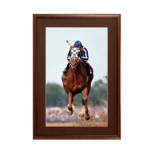 20 x 30 Wood Picture Poster Display Frames with Matboard (Wood 353)