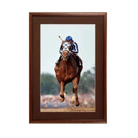 8.5 x 11 Wood Picture Poster Display Frames with Matboard (Wood 353)