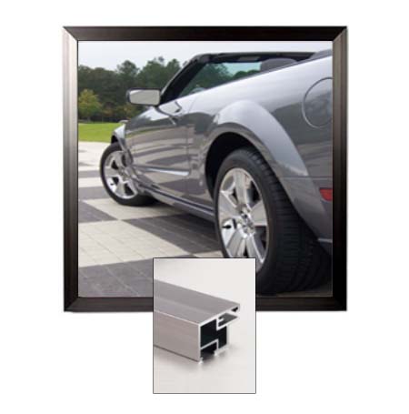 10x20 Poster Frame (SwingFrame Carbon Steel Poster Display)