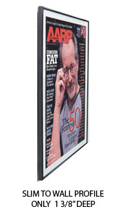Quick Change 8.5x11 Poster Frames with Matboard