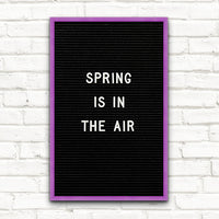 Colorful Framed Access Letterboards 11" x 17" | Shown in Amethyst Finish