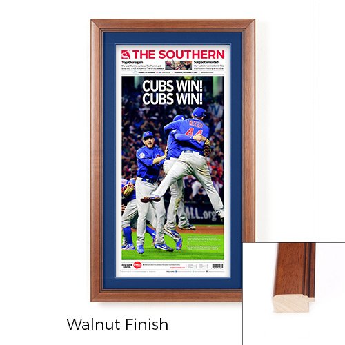 Cubs world series outlet frame 2016