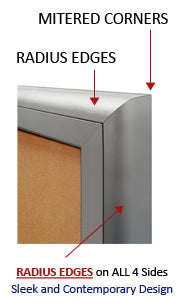 Extra Large Outdoor Enclosed Bulletin Board Swing Cases (Radius Edge)
