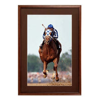 12 x 24 Wood Picture Poster Display Frames with Matboard (Wood 353)